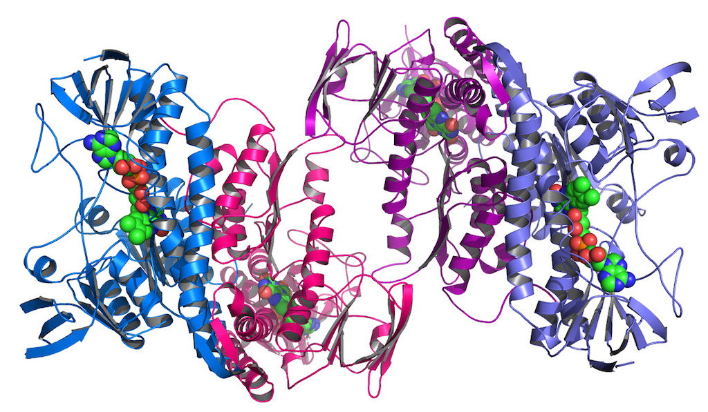 http://en.wikipedia.org/wiki/Structural_genomics