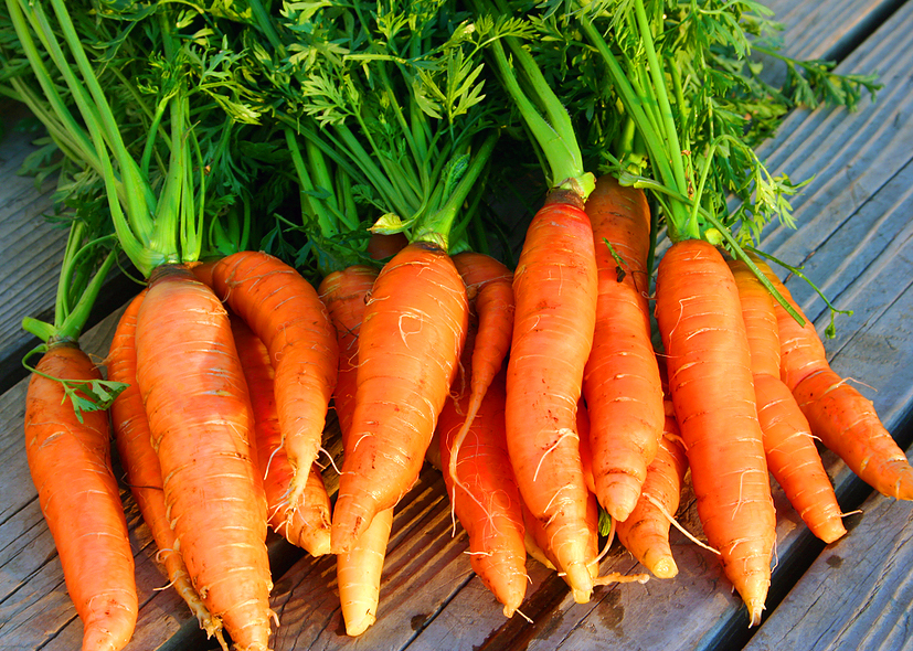 Carrots-Nantes1